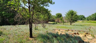 2750 Carter Rd, Springtown, TX 76082 - photo 4