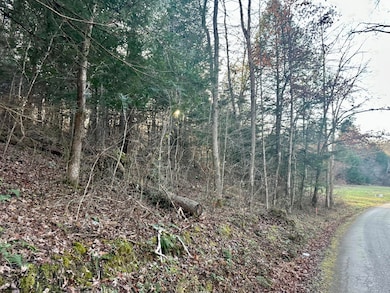 Lot 13 Hensley Rd, East Bernstadt, KY 40729 - photo 2