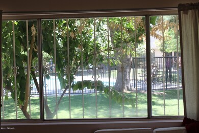 View out livingroom window