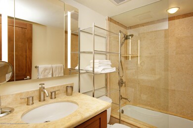 630 E Cooper Ave unit 13, Aspen, CO 81611 - photo 5
