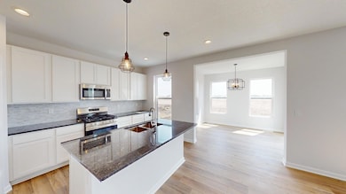 Lot C7 Crabapple Ave, Cortland, IL 60112 - photo 7