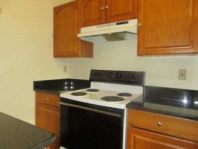 60 Summer St unit 2, Somerville, MA 02143 - photo 3