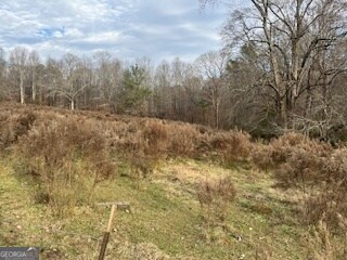 0 Julius Bridge Rd unit 10656513, Ball Ground, GA 30107 - photo 4