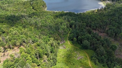 TBD Stevens Rd, Barton, VT 05875 - photo 7