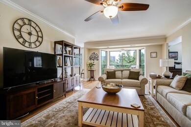 5901 Mount Eagle Dr unit 618, Alexandria, VA 22303 - photo 5