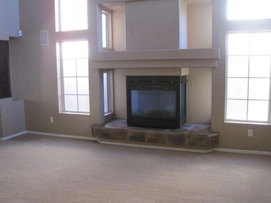 GAS FIREPLACE