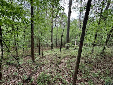 View of nature featuring a view of trees
