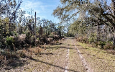 0 Lot 29 188th Trail, Live Oak, FL 32060 - photo 3