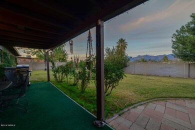 Beautiful Back Yard at Dusk