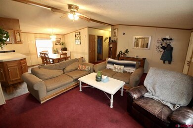 11 Ponderosa Ln unit Lot 5, Gunnison, CO 81230 - photo 7