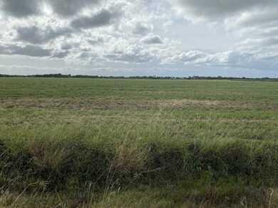 000 Padon Rd, Needville, TX 77461 - photo 3