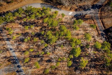 Lot B,C & D Traway Lane Stanfield Rd, Edgemont, AR 72044 - photo 4