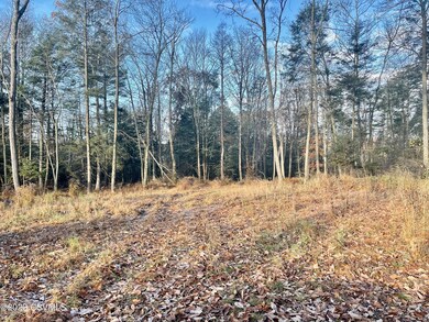 0 Shingle Run Rd, Pine Township, PA 17846 - photo 3