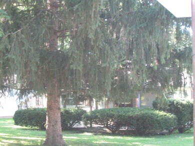 230 S 25th Ave, Beech Grove, IN 46107 - photo 5