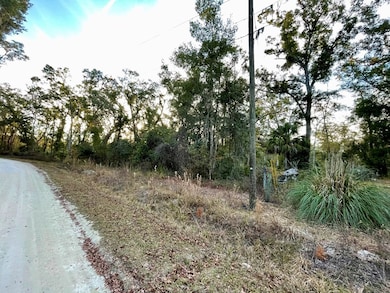 Lot 19 NE 497th St, Old Town, FL 32680 - photo 5
