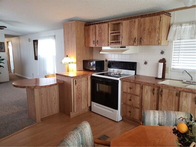 5701 Cheyenne St, Zephyrhills, FL 33542 - photo 6