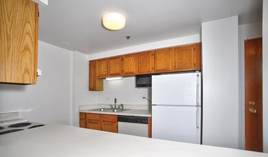 1715 Chicago Ave unit 302S, Evanston, IL 60201 - photo 2