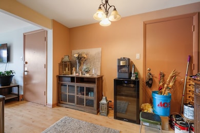 11133 S 84th Ave unit 3A, Palos Hills, IL 60465 - photo 4