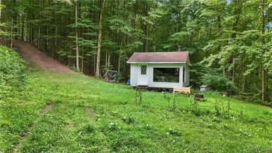 00 Beebe Hill Rd, Cuba, NY 14727 - photo 2