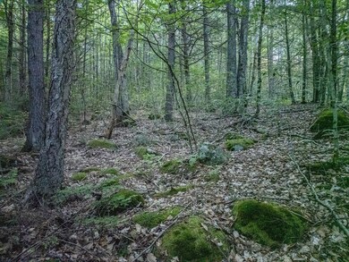 0 Northfield Rd unit 73384011, Warwick, MA 01378 - photo 6