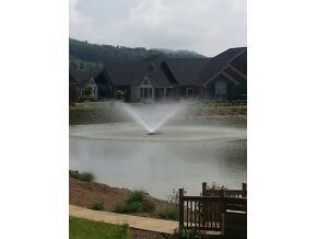 pond fountain