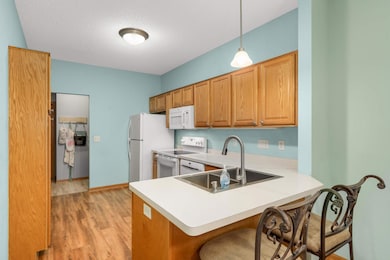 7742 Palomino Ave NE, Elk River, MN 55330 - photo 7