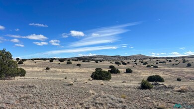 TBD Deer Cir, Quemado, NM 87829 - photo 4
