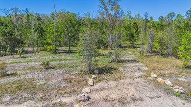 0 SW Highway 361, Steinhatchee, FL 32359 - photo 7