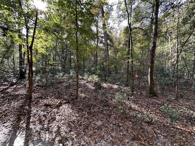 0 NE 125th Ln, Branford, FL 32008 - photo 4