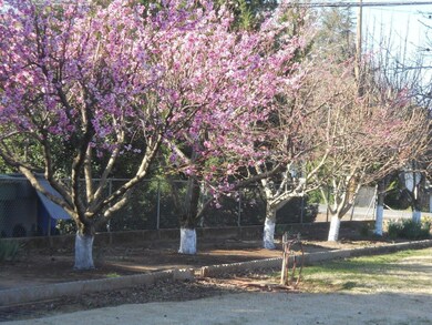 RANCHO4