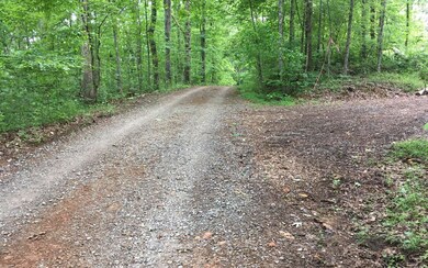 L43 B Mountain Rivers Ln, Mineral Bluff, GA 30559 - photo 2