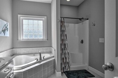 551 Knotty Branch Rd, Conway, SC 29527 - photo 6