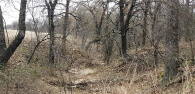 391 County Road 3678, Paradise, TX 76073 - photo 7