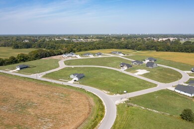 Aerial view of subdivision