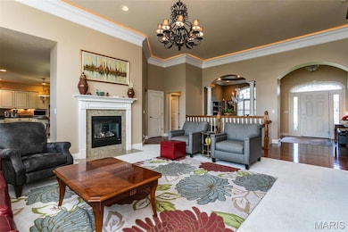 100 Waterfall Ct, Glen Carbon, IL 62034 - photo 6