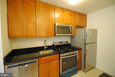 202 Park Terrace Ct SE unit 20, Vienna, VA 22180 - photo 4