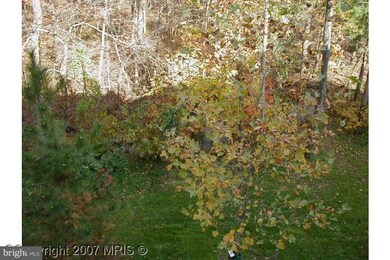 21492 Foche Terrace, Broadlands, VA 20148 - photo 7