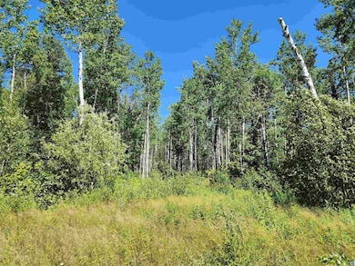 XX Black Granite Tr, Hovland, MN 55606 - photo 5