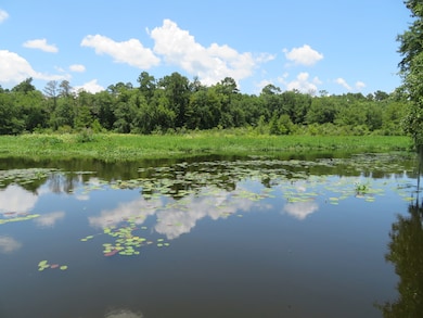 0 Cooks Landing Rd unit 24656434, Quincy, FL 32351 - photo 6