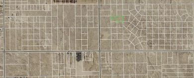 3175009009 2