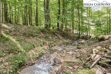 Creek which runs along property