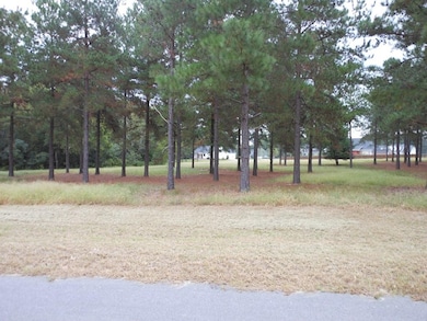 0 Shady Oak Ln unit 446794, Waynesboro, GA 30830 - photo 7