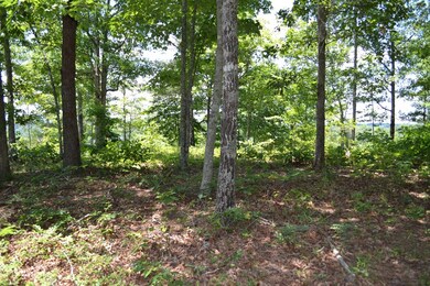 Mid Lot2
