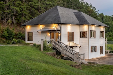 2637 River Rd, Mineral Bluff, GA 30559 - photo 6