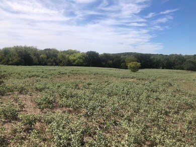 Lot 2 11.001 ac County Road 2750, Decatur, TX 76234 - photo 7