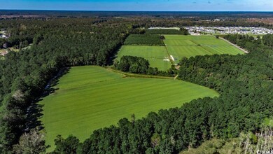 8.06 Acs Old Bucksville Rd, Conway, SC 29527 - photo 5