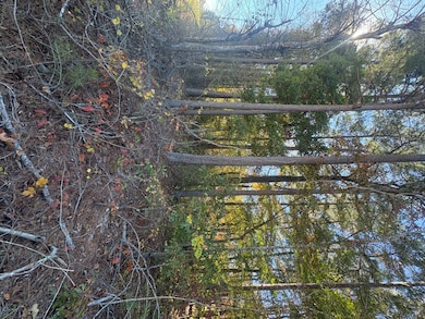 7730 Highway 75, Pinson, AL 35126 - photo 6