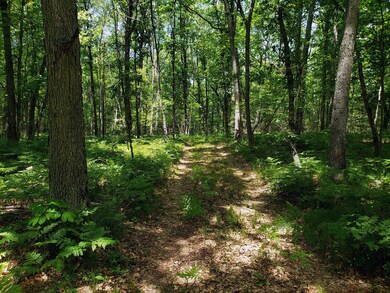 Parcel 004 Woodland Park Dr, Bitely, MI 49309 - photo 2