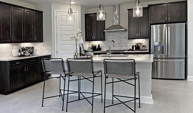 5321 Spring Maiden Cir, Apollo Beach, FL 33572 - photo 5