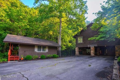 3669 Lindsey Mill Rd, Gatlinburg, TN 37738 - photo 4